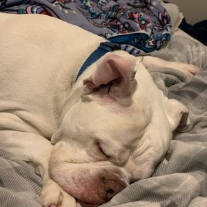 Meet your Posher, Mataya